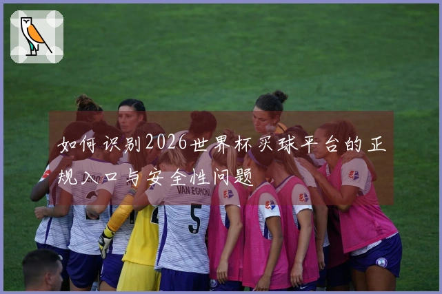 如何识别2026世界杯买球平台的正规入口与安全性问题