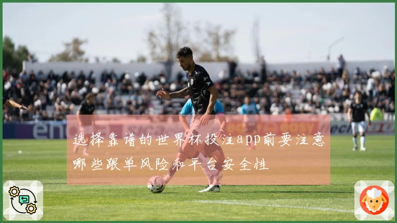 选择靠谱的世界杯投注app前要注意哪些跟单风险和平台安全性