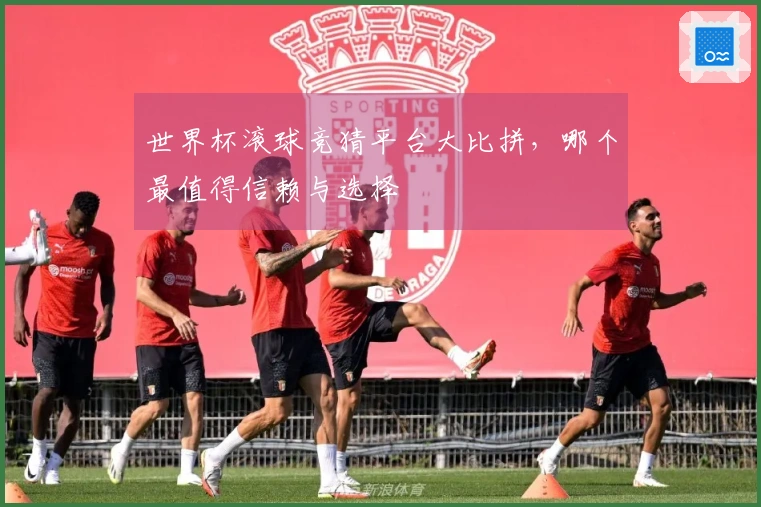 世界杯滚球竞猜平台大比拼，哪个最值得信赖与选择