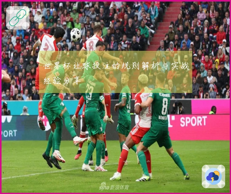 世界杯让球投注的规则解析与实战经验分享