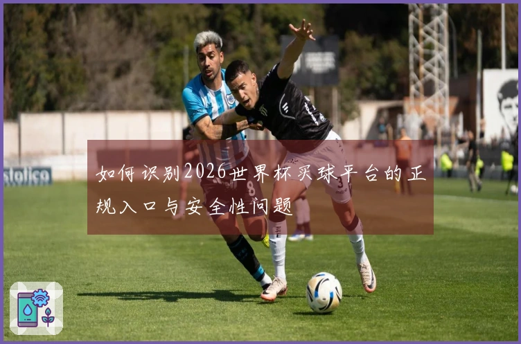 如何识别2026世界杯买球平台的正规入口与安全性问题