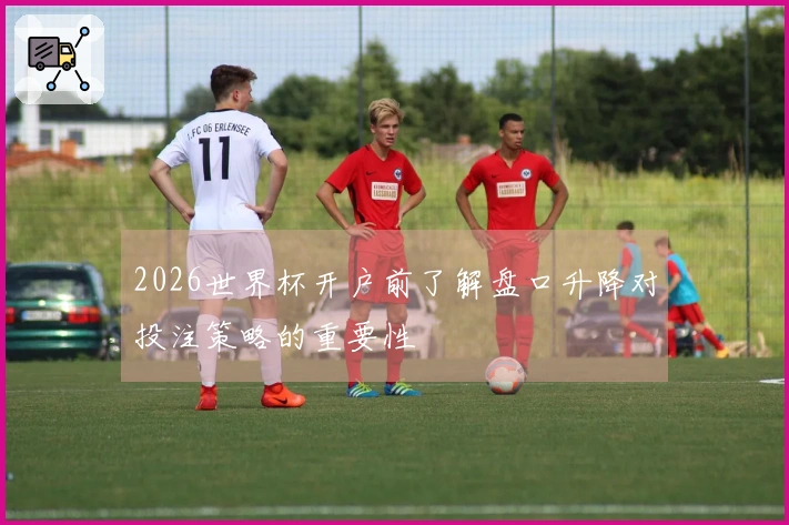 2026世界杯开户前了解盘口升降对投注策略的重要性